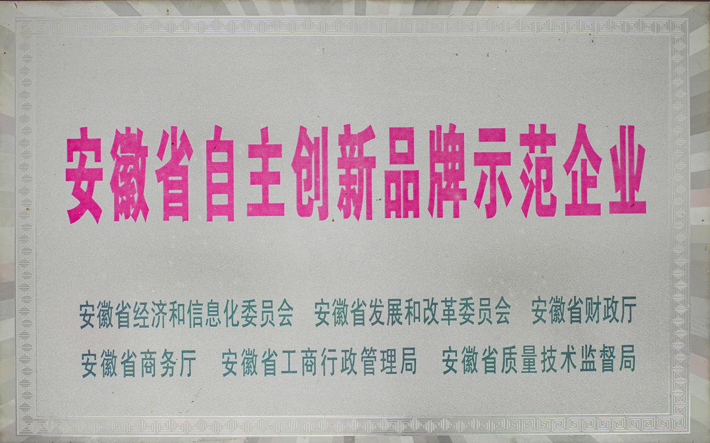 安徽省自主創(chuàng  )新品牌示范企業(yè)